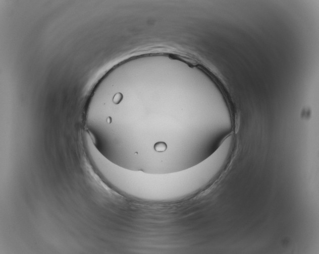 X0000112511500200909141146