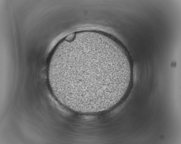 X0000112511501200909141146