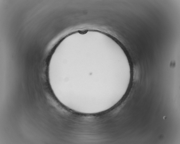 X0000112511502200909141146