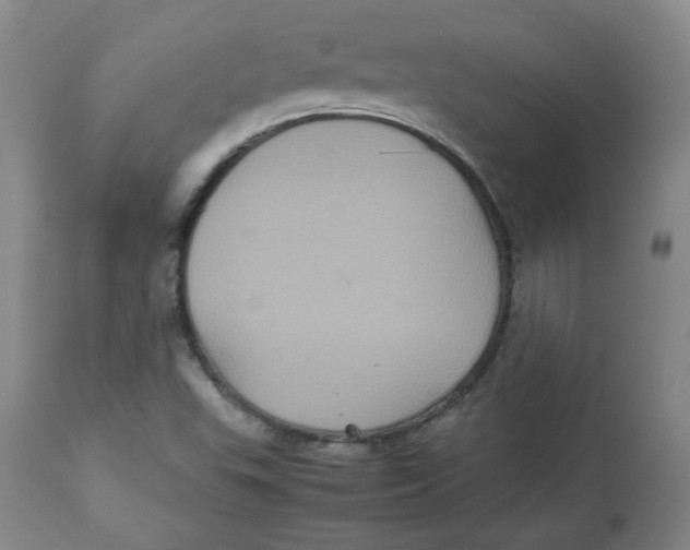 X0000112511503200909141146