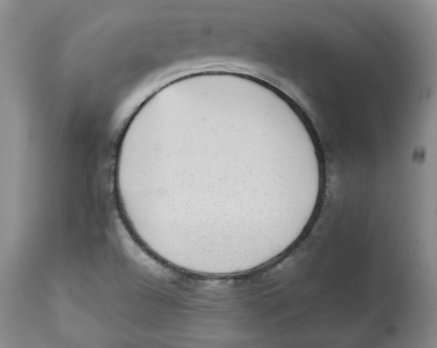 X0000112511504200909141146