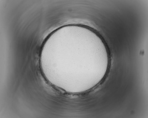 X0000112511505200909141146