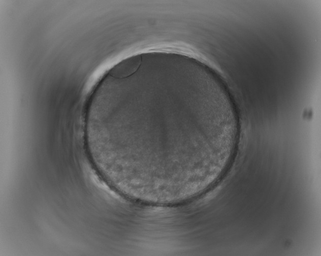 X0000112511506200909141146