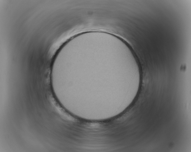 X0000112511507200909141146