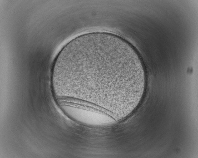 X0000112511508200909141146