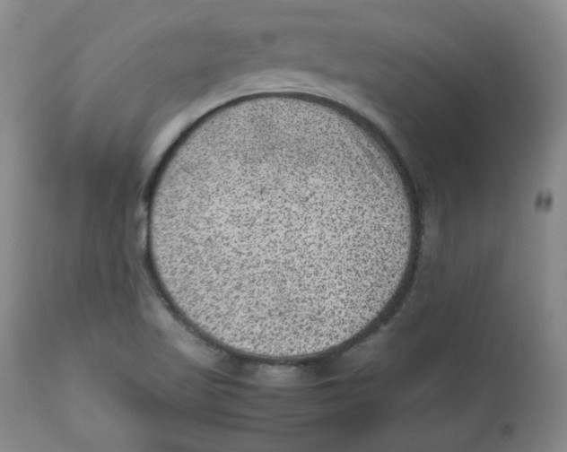 X0000112511509200909141146