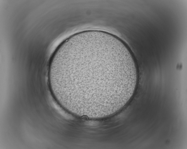 X0000112511511200909141146