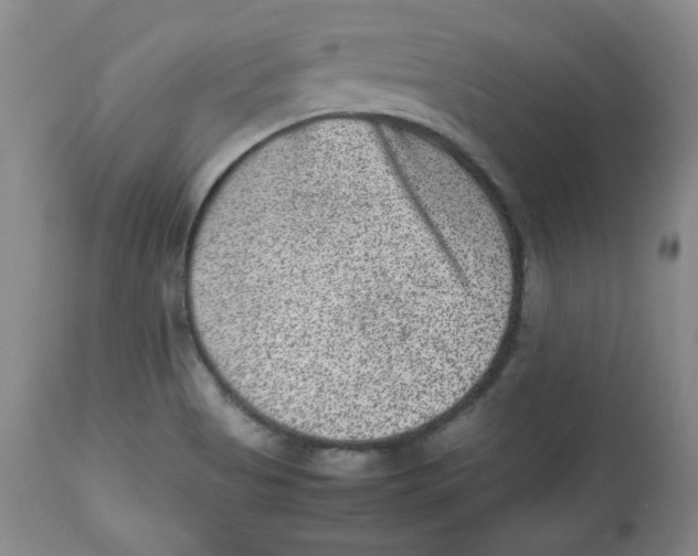 X0000112511513200909141146