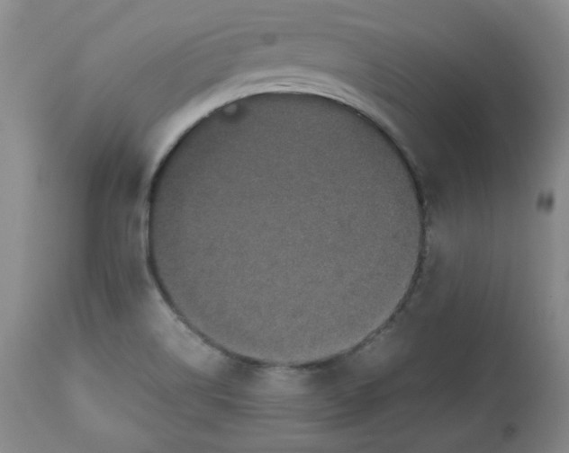 X0000112511514200909141146