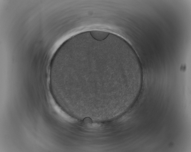 X0000112511515200909141146