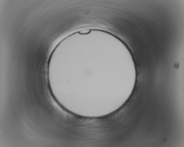 X0000112511516200909141146