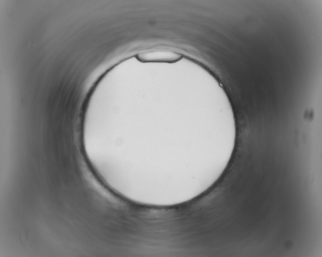 X0000112511518200909141146