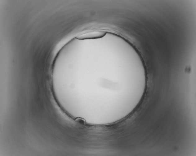 X0000112511520200909141146