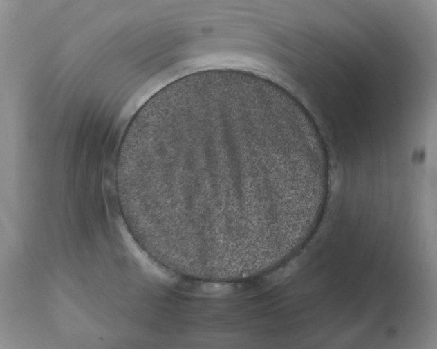 X0000112511521200909141146