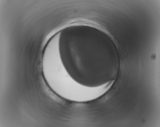 X0000112511522200909141146