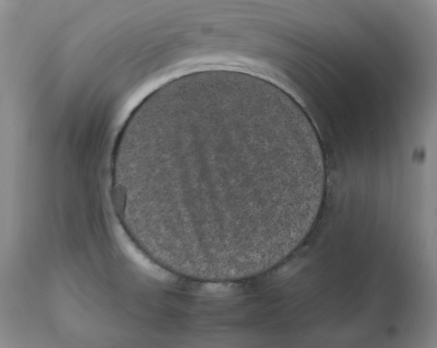 X0000112511523200909141146