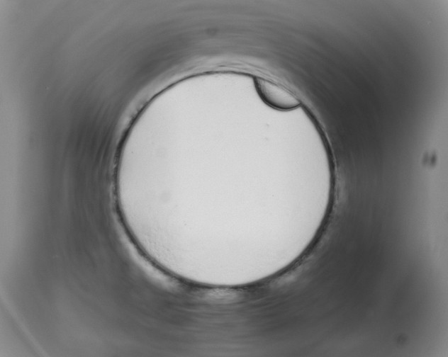 X0000112511525200909141146