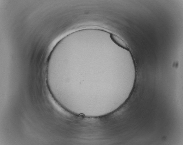 X0000112511526200909141146