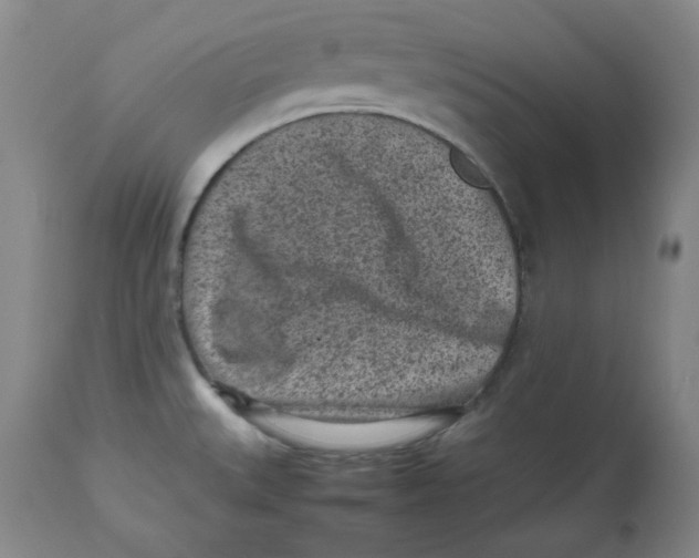 X0000112511527200909141146