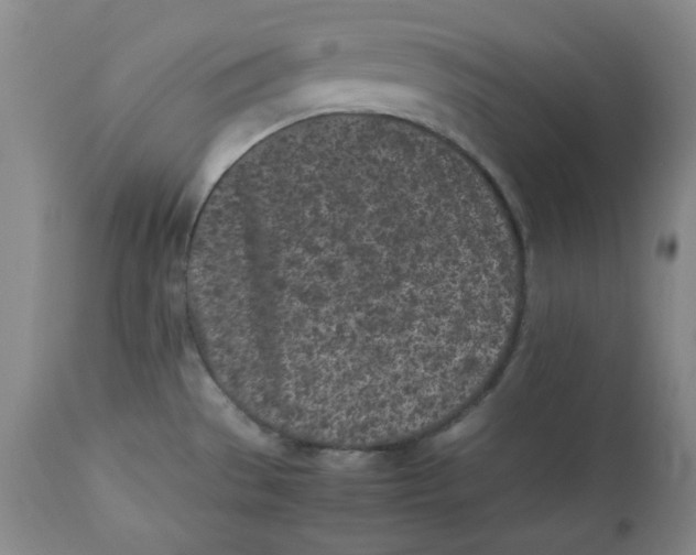 X0000112511529200909141147