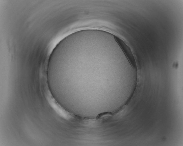 X0000112511530200909141147