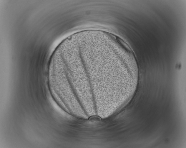 X0000112511531200909141147