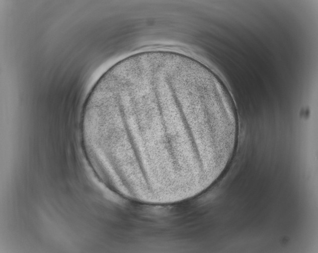 X0000112511533200909141147