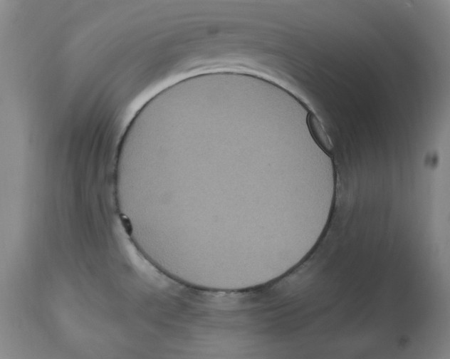 X0000112511534200909141147