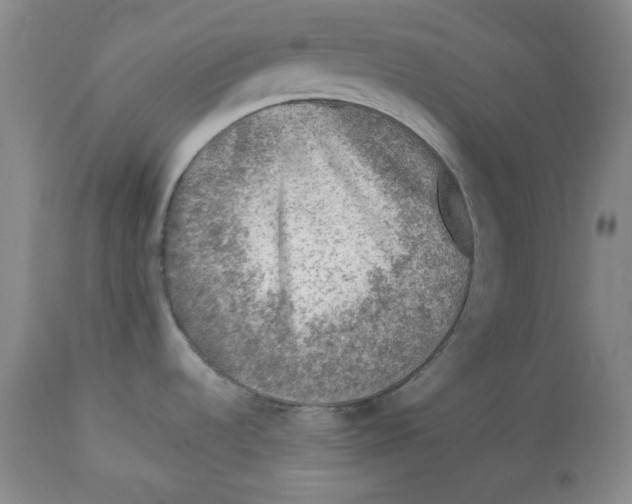 X0000112511536200909141147