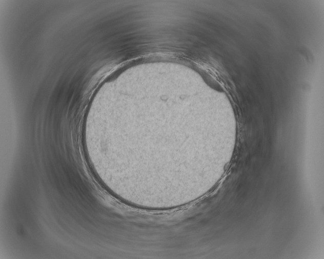 X0000112510001200909281005