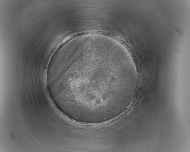 X0000112510002200909281005