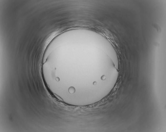 X0000112510003200909281005