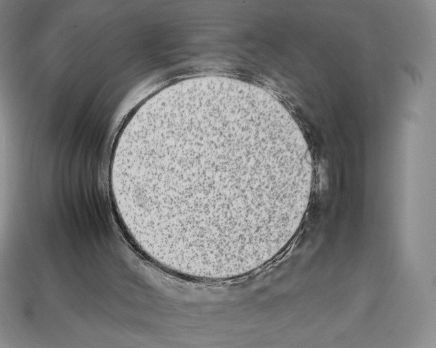 X0000112510004200909281005