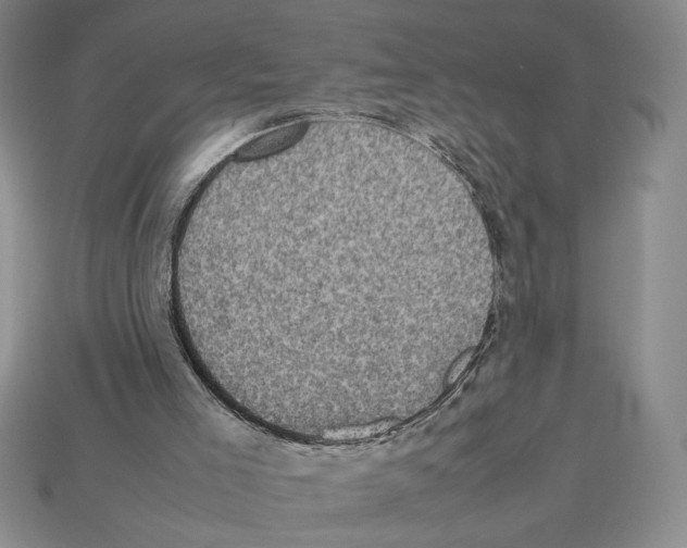 X0000112510005200909281005