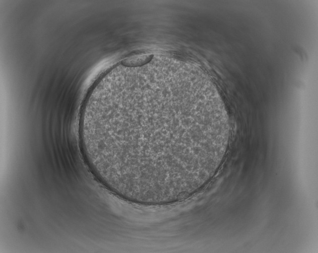 X0000112510006200909281005