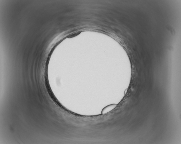 X0000112510007200909281005