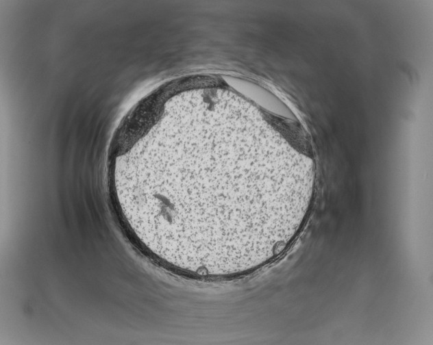 X0000112510008200909281005