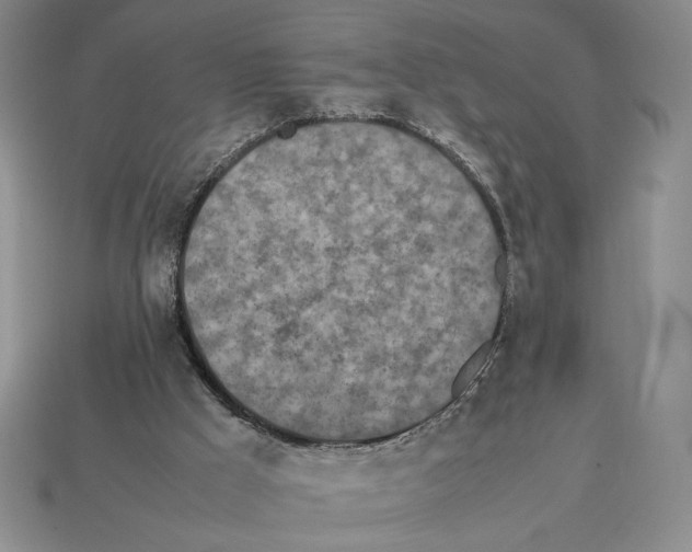 X0000112510009200909281005