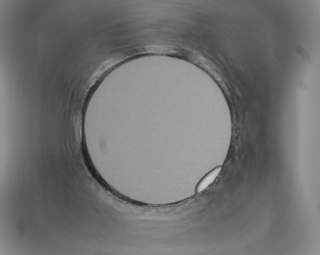 X0000112510011200909281005