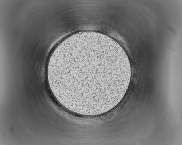 X0000112510012200909281005