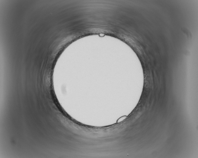 X0000112510015200909281005