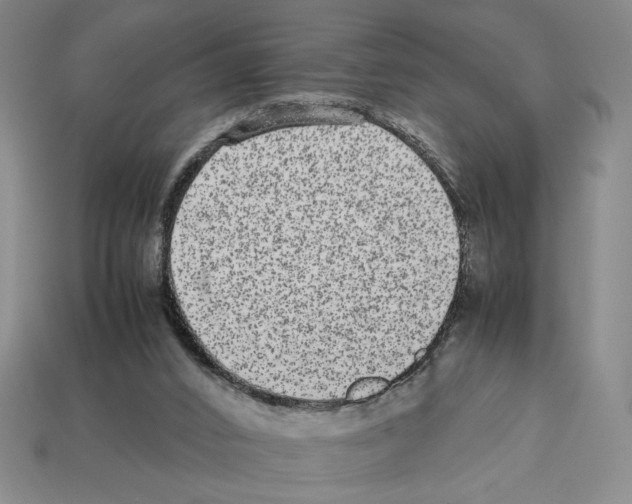 X0000112510016200909281005