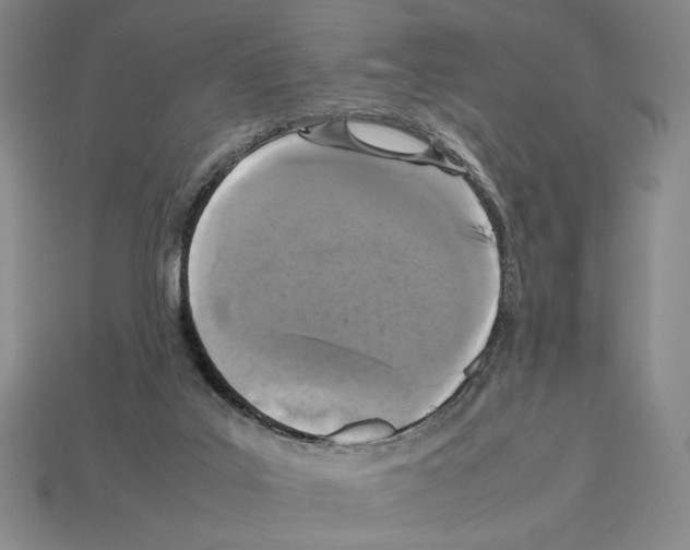 X0000112510019200909281005