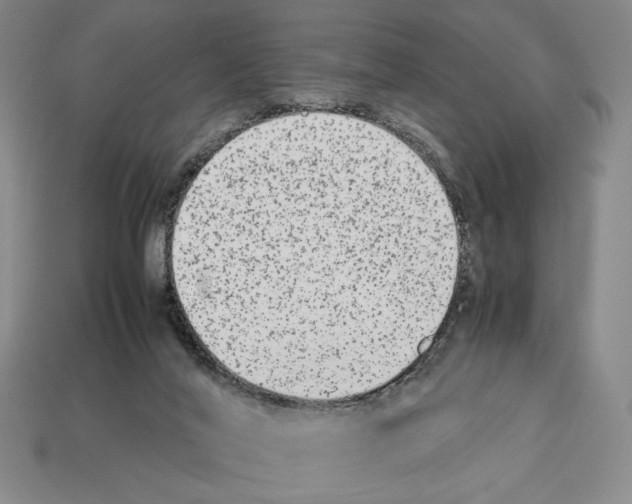 X0000112510020200909281005