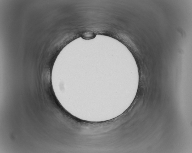 X0000112510021200909281005