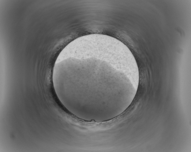 X0000112510023200909281005