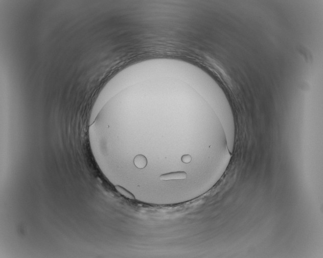 X0000112510025200909281005