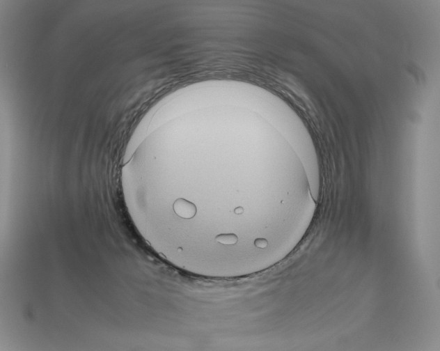 X0000112510029200909281005