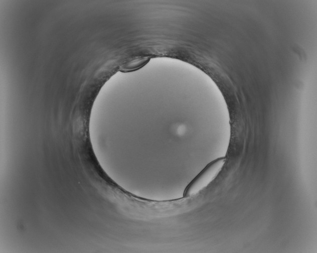 X0000112510031200909281005