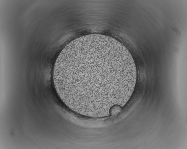 X0000112510032200909281005